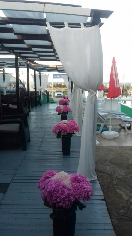 Complex Exotica Hotel Lozenets Bagian luar foto